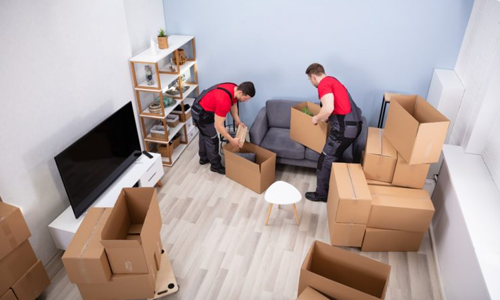 Domestic Shifting
